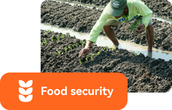 Food security programme